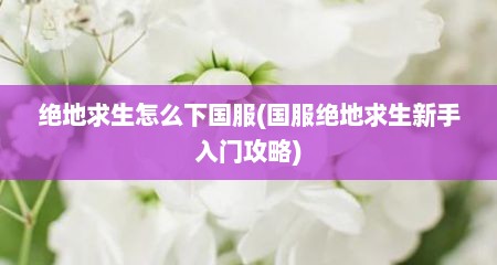 绝地求生怎么下国服(国服绝地求生新手入门攻略)