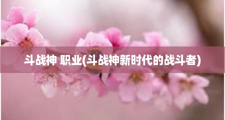 斗战神 职业(斗战神新时代的战斗者)