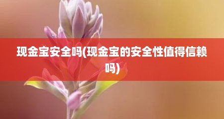 现金宝安全吗(现金宝的安全性值得信赖吗)