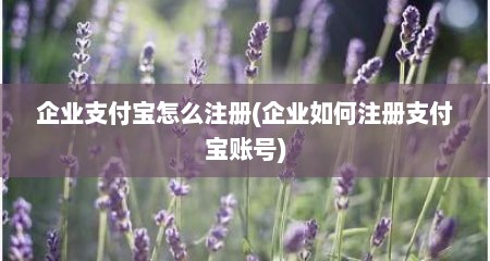 企业支付宝怎么注册(企业如何注册支付宝账号)