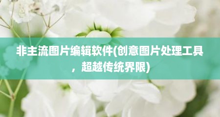 非主流图片编辑软件(创意图片处理工具，超越传统界限)