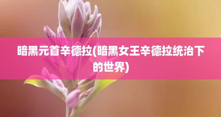 暗黑元首辛德拉(暗黑女王辛德拉统治下的世界)