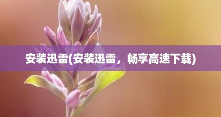 安装迅雷(安装迅雷，畅享高速下载)