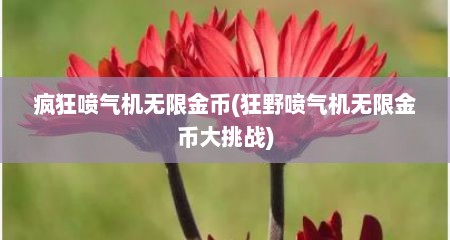 疯狂喷气机无限金币(狂野喷气机无限金币大挑战)