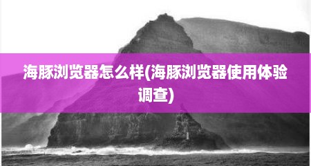海豚浏览器怎么样(海豚浏览器使用体验调查)