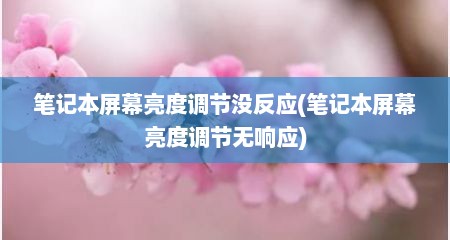 笔记本屏幕亮度调节没反应(笔记本屏幕亮度调节无响应)