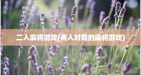 二人麻将游戏(两人对局的麻将游戏)