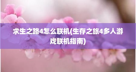 求生之路4怎么联机(生存之旅4多人游戏联机指南)