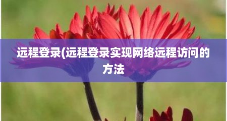远程登录(远程登录实现网络远程访问的方法