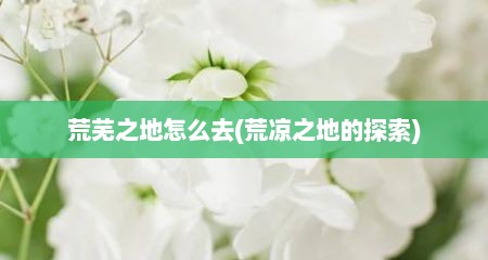 荒芜之地怎么去(荒凉之地的探索)