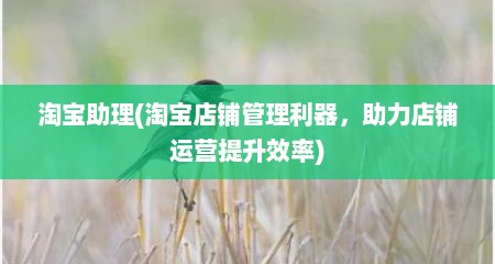 淘宝助理(淘宝店铺管理利器，助力店铺运营提升效率)