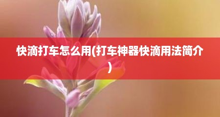 快滴打车怎么用(打车神器快滴用法简介)