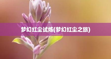 梦幻红尘试炼(梦幻红尘之旅)