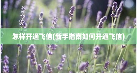 怎样开通飞信(新手指南如何开通飞信)