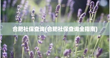 合肥社保查询(合肥社保查询全指南)