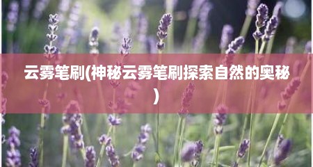 云雾笔刷(神秘云雾笔刷探索自然的奥秘)