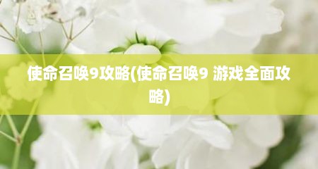 使命召唤9攻略(使命召唤9 游戏全面攻略)