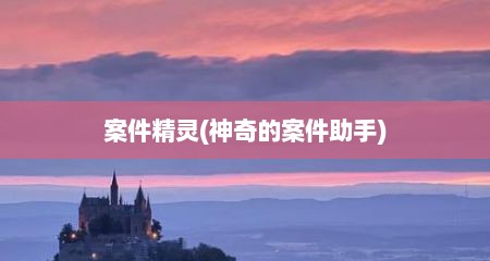 案件精灵(神奇的案件助手)