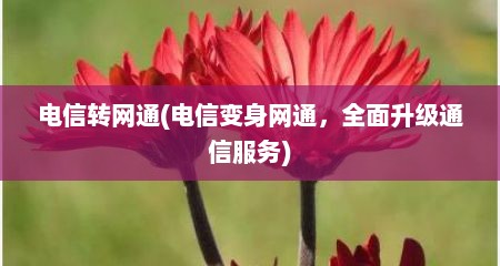 电信转网通(电信变身网通，全面升级通信服务)