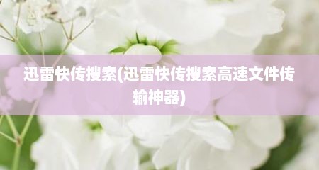 迅雷快传搜索(迅雷快传搜索高速文件传输神器)