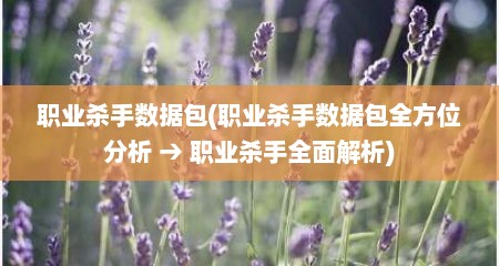 职业杀手数据包(职业杀手数据包全方位分析 → 职业杀手全面解析)
