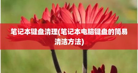 笔记本键盘清理(笔记本电脑键盘的简易清洁方法)