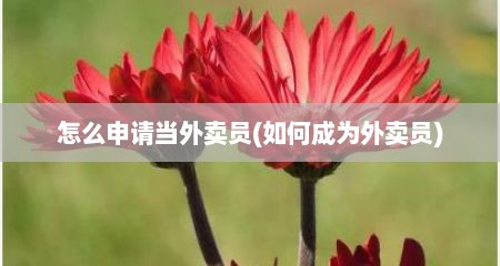 怎么申请当外卖员(如何成为外卖员)