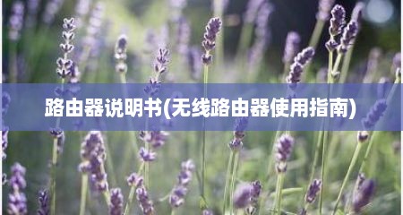 路由器说明书(无线路由器使用指南)