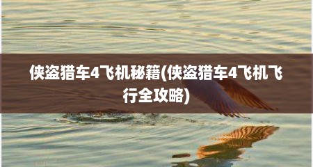 侠盗猎车4飞机秘籍(侠盗猎车4飞机飞行全攻略)