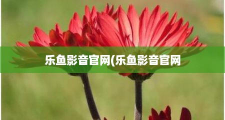 乐鱼影音官网(乐鱼影音官网