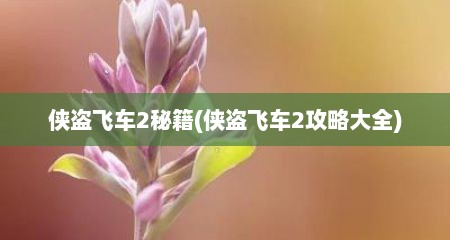 侠盗飞车2秘籍(侠盗飞车2攻略大全)