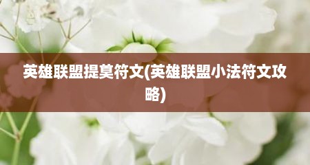 英雄联盟提莫符文(英雄联盟小法符文攻略)