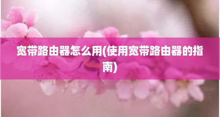 宽带路由器怎么用(使用宽带路由器的指南)