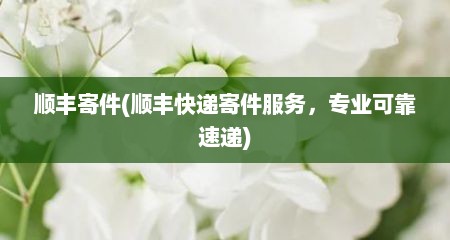 顺丰寄件(顺丰快递寄件服务，专业可靠速递)