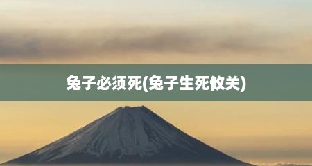 兔子必须死(兔子生死攸关)