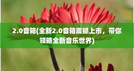 2.0音箱(全新2.0音箱震撼上市，带你领略全新音乐世界)