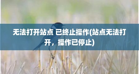 无法打开站点 已终止操作(站点无法打开，操作已停止)