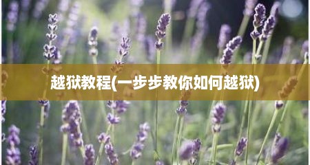越狱教程(一步步教你如何越狱)