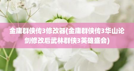 金庸群侠传3修改器(金庸群侠传3华山论剑修改后武林群侠3英雄盛会)