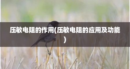 压敏电阻的作用(压敏电阻的应用及功能)