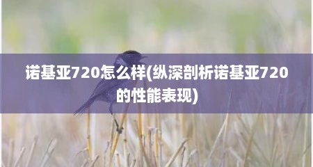 诺基亚720怎么样(纵深剖析诺基亚720的性能表现)
