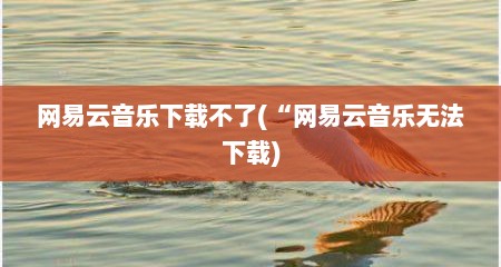 网易云音乐下载不了(“网易云音乐无法下载)