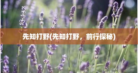 先知打野(先知打野，前行探秘)