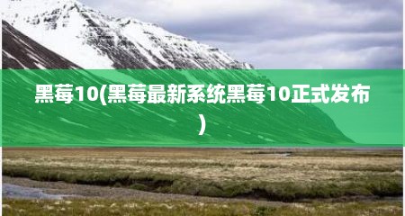 黑莓10(黑莓最新系统黑莓10正式发布)