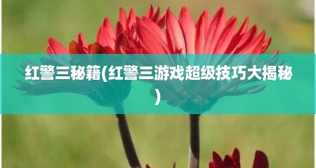 红警三秘籍(红警三游戏超级技巧大揭秘)