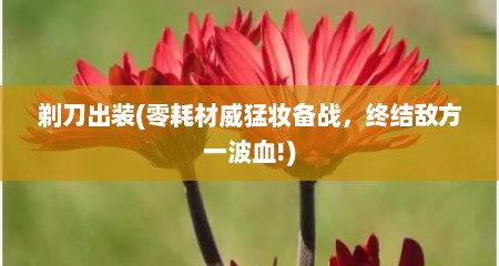 剃刀出装(零耗材威猛妆备战，终结敌方一波血!)