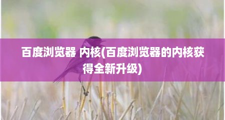 百度浏览器 内核(百度浏览器的内核获得全新升级)