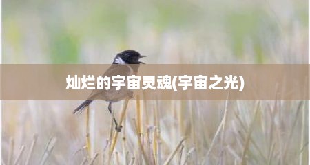 灿烂的宇宙灵魂(宇宙之光)