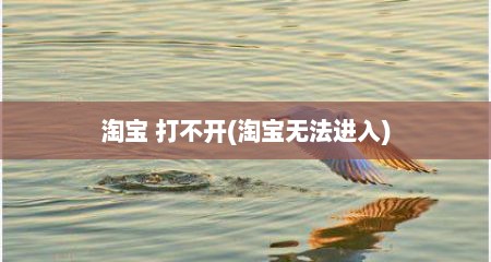 淘宝 打不开(淘宝无法进入)