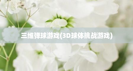 三维弹球游戏(3D球体挑战游戏)